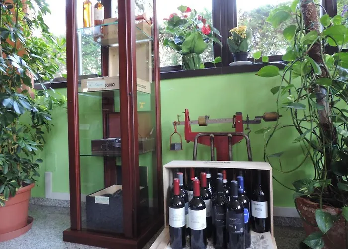 Aquamaris 酒店 萨拉巴根泽